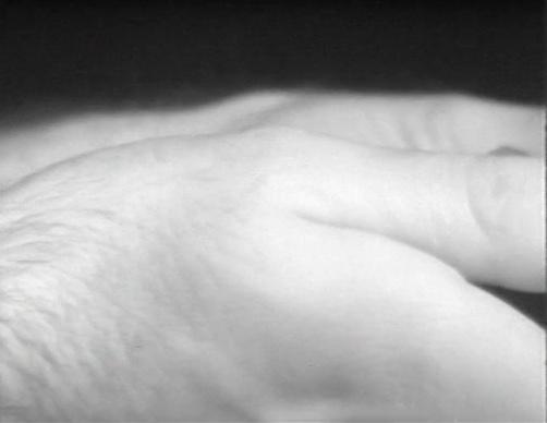 Weibel _ Lüstern _ Courtesy sixpackfilm