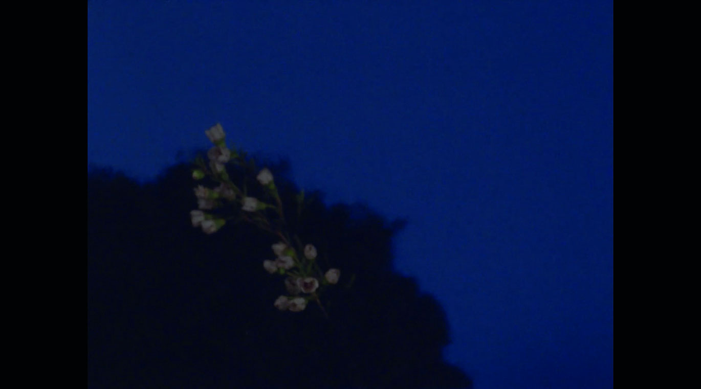 Belinda Kazeem-Kamiński_Nursery Rhymes_Still2_courtesy sixpackfilm