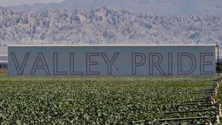 Valley Pride