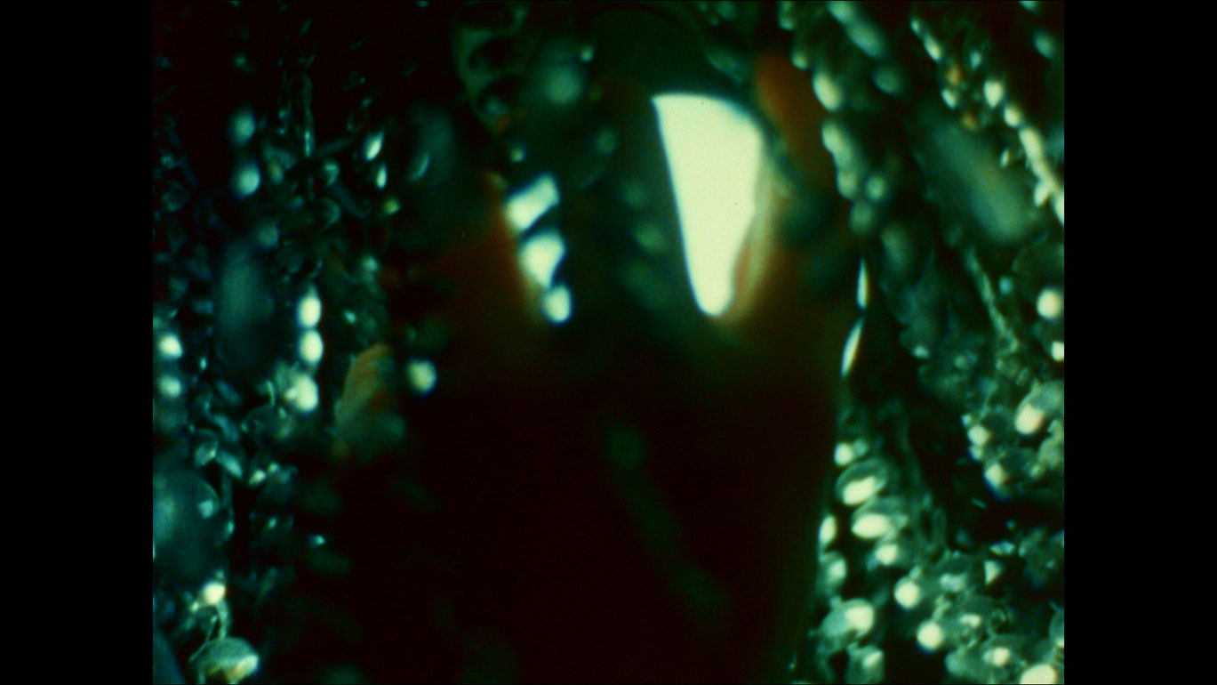 Still 3